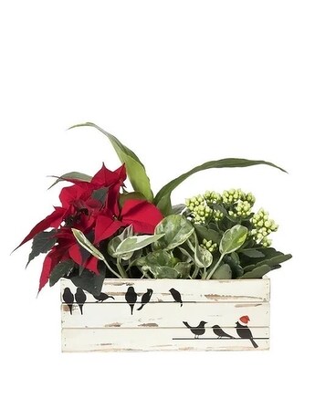 Bird On Wire Planter 6X11