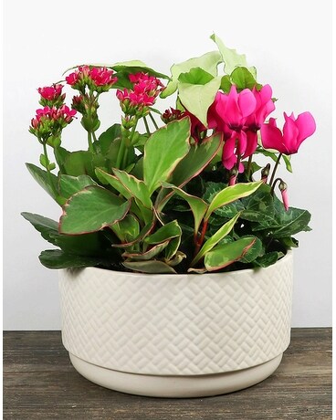 8 in Aleida Planters Flower Arrangement