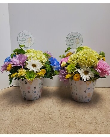 Little One Flower Arrangement