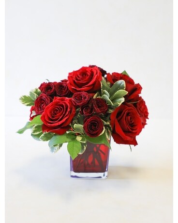 Low & Lush Red Roses Flower Arrangement