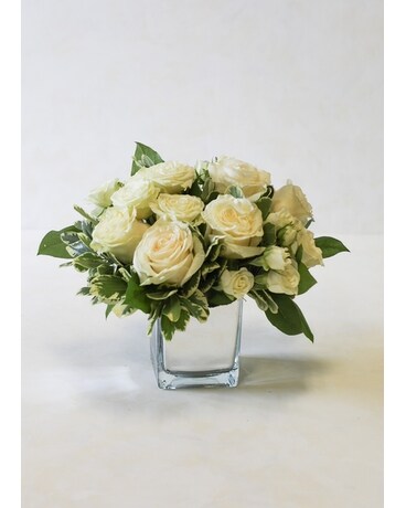 Low & Lush White Roses Flower Arrangement