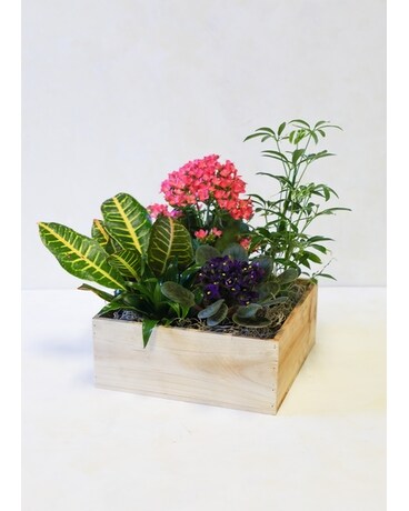 Blooming Garden Box Flower Arrangement