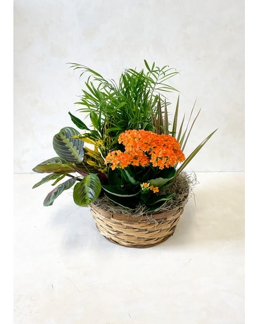 Blooming Garden Basket Flower Arrangement