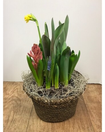 Watch it Grow Garden Flower Arrangement