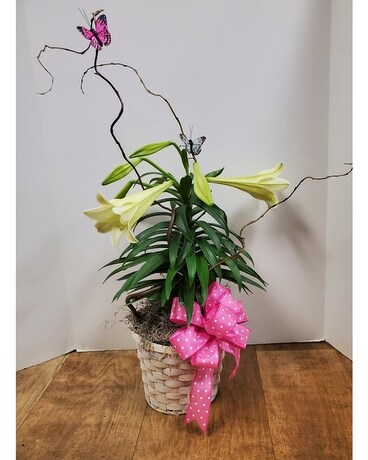 Easter Lily Flower Arrangement
