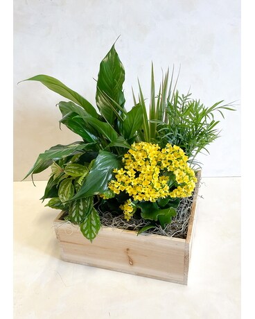 Blooming Garden Box Flower Arrangement