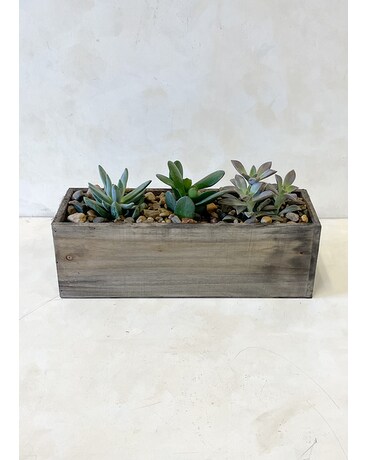 Simply Succulents Flower Arrangement