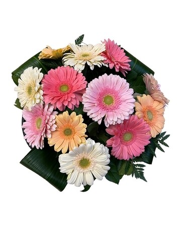 Be Mine Gerbera Bouquet Flower Arrangement