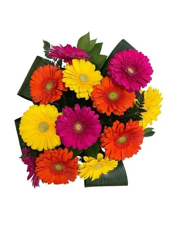 Citrus Sensation Gerbera Bouquet Flower Arrangement