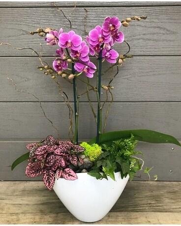Maxima Floral Orchid Garden Flower Arrangement