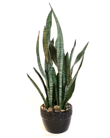 In Ceramic size,  inches height and  inches wide.