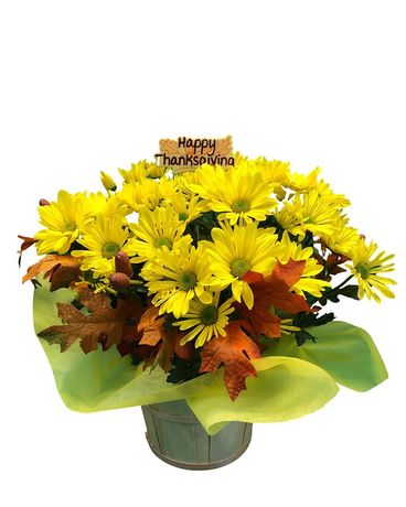 Fresh Harvest Dish Garden Plant