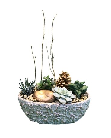 Seasonal Succulents Planter Dish Garden Plant