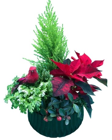 Christmas Cardinal Planter Dish Garden Plant