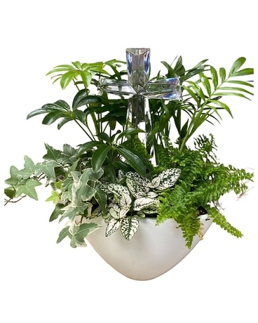 Glass Cross Planter Dish Garden Plant