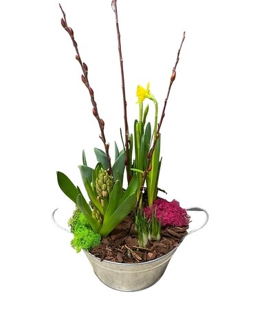 Pop of Spring Planter Dish Garden Plant
