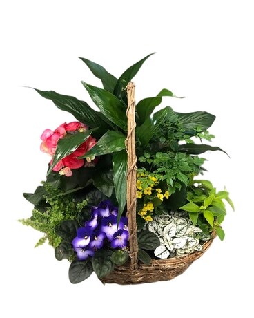 Basket of Joy Flower Arrangement