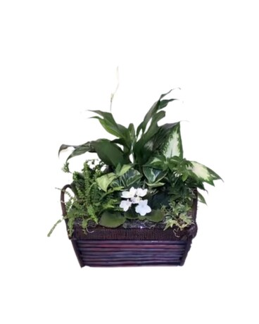 White Peace Basket