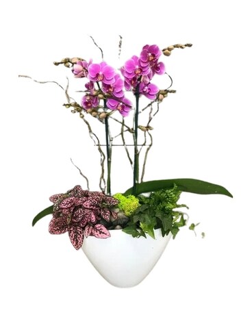 Maxima Floral Orchid Garden Flower Arrangement