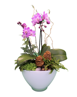 As Shown size, 20 inches height and 9 inches wide.