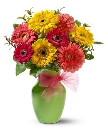 Daisy Dazzle Flower Arrangement