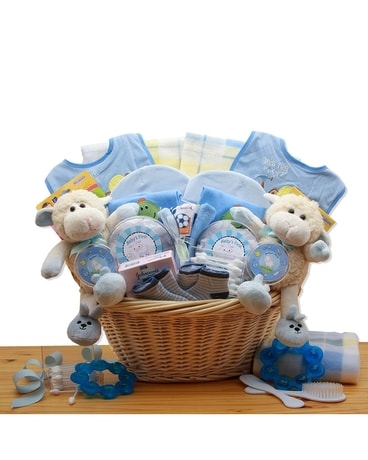 Double Delight Twins-Blue Gift Basket