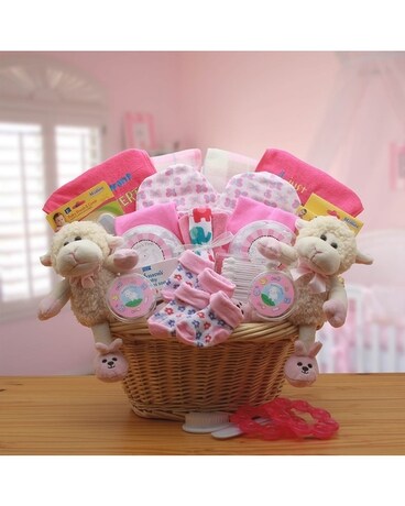 Double Delight Twins-Pink Gift Basket