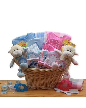 Double Delight Twins-Pink & Blue Gift Basket