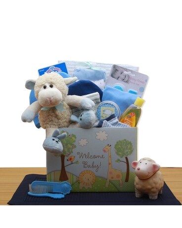 Welcome New Baby Blue Gift Basket