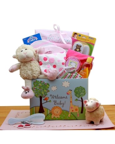 Welcome New Baby Pink Gift Basket