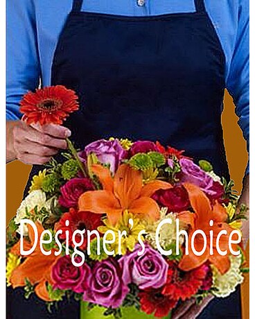 Designer's Choice