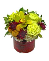 Standard size, 9 inches height and 8 inches wide.