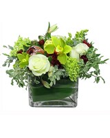 Standard size, 12 inches height and 14 inches wide.