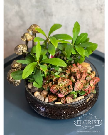 Enchanted Forest Planter Dish Garden Plant