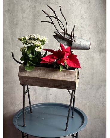 Reindeer Planter Plant