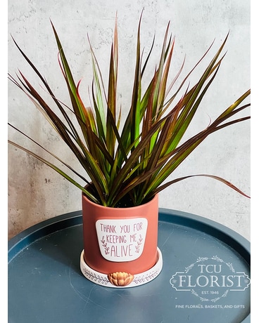 Thank You For Keeping Me Alive Plant Plant