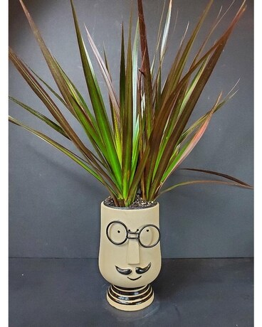 Pierre Plant