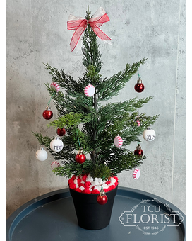 Mini Christmas Tree Gifts