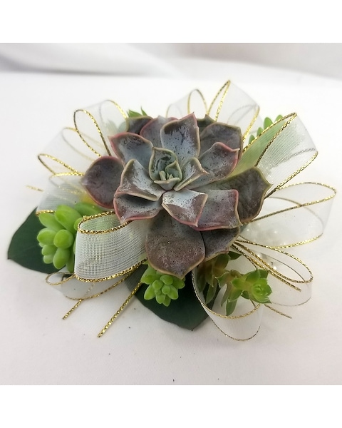Succulent Corsage in Fort Worth TX - TCU Florist & Flower Delivery