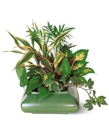Green Garden Dish Flower Arrangement