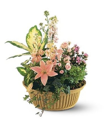 Peach Tribute Garden Flower Arrangement