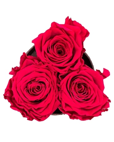Red Rose Mini Box (Eternal Roses) Flower Arrangement