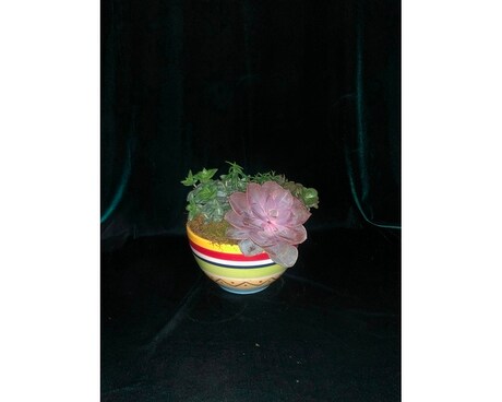 Custom Succulent Dish Flower Arrangement