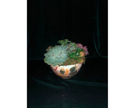 Custom Succulent Dish Large Flower Arrangement