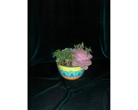 Custom Succulent Dish Flower Arrangement