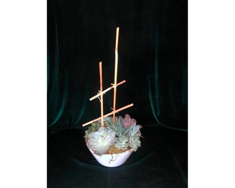 Custom Succulent Dish Flower Arrangement