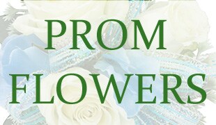 PROM, PROM