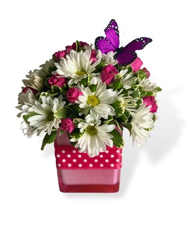 Polka Dot & Posies