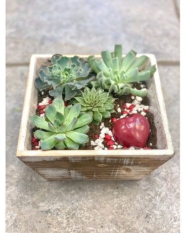 Succa For You Flower Arrangement