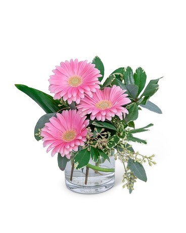 Gerbera Simplicity: Several Colors Available Flower Arrangement